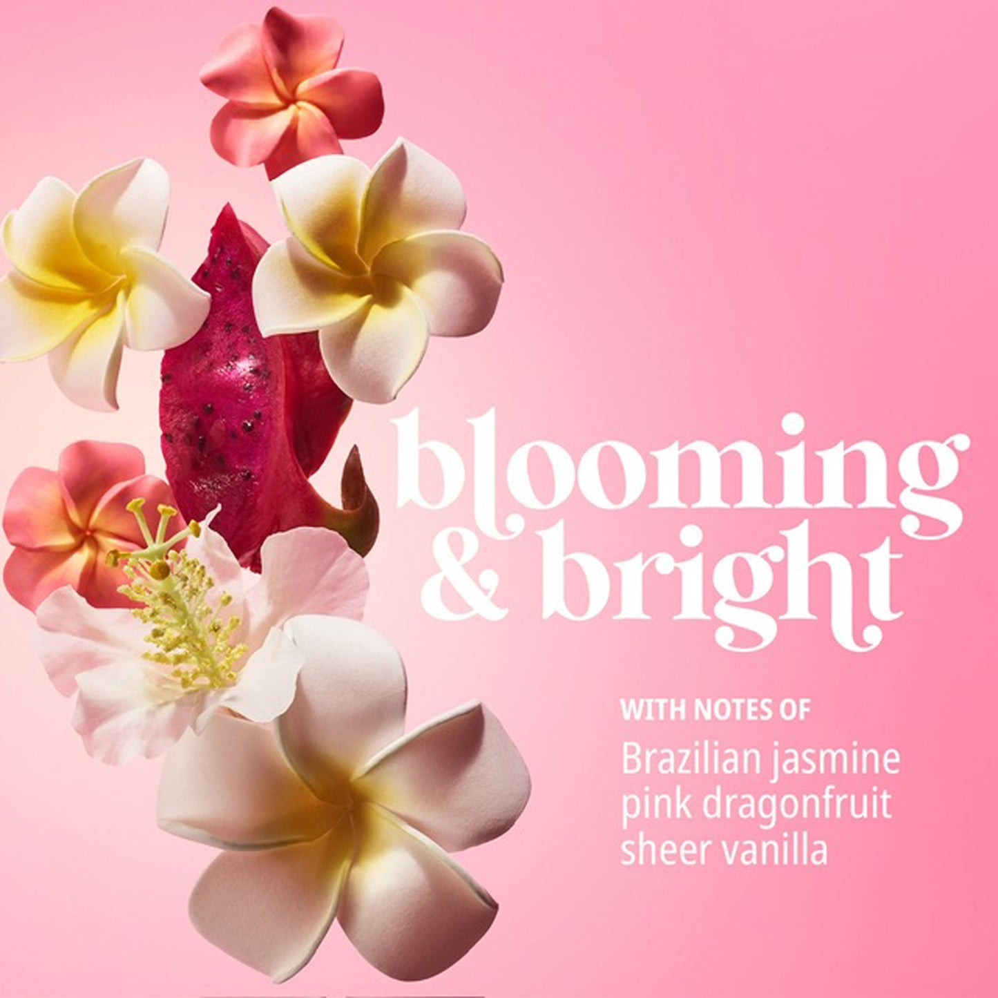 🌸 BEIJA FLOR ELASTI-CREAM – Fermeté & Élasticité Naturelle 75 ml