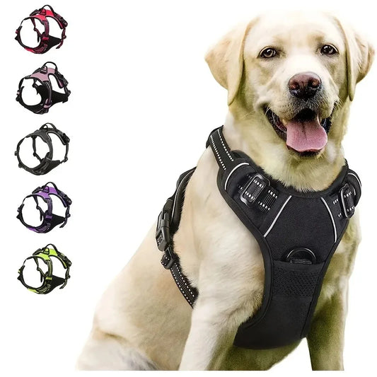 🐾 Colliers, Harnais, Gilets & Laisses – Accessoires Premium pour Chiens 🐾