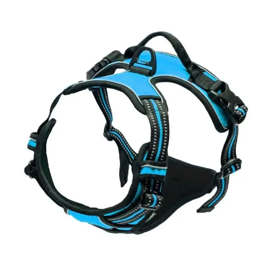 🐾 Colliers, Harnais, Gilets & Laisses – Accessoires Premium pour Chiens 🐾
