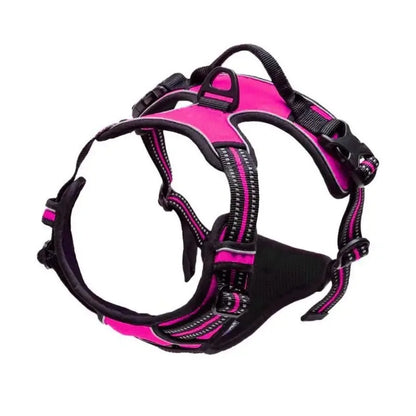 🐾 Colliers, Harnais, Gilets & Laisses – Accessoires Premium pour Chiens 🐾