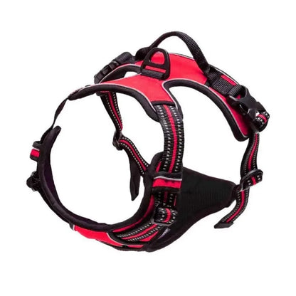 🐾 Colliers, Harnais, Gilets & Laisses – Accessoires Premium pour Chiens 🐾