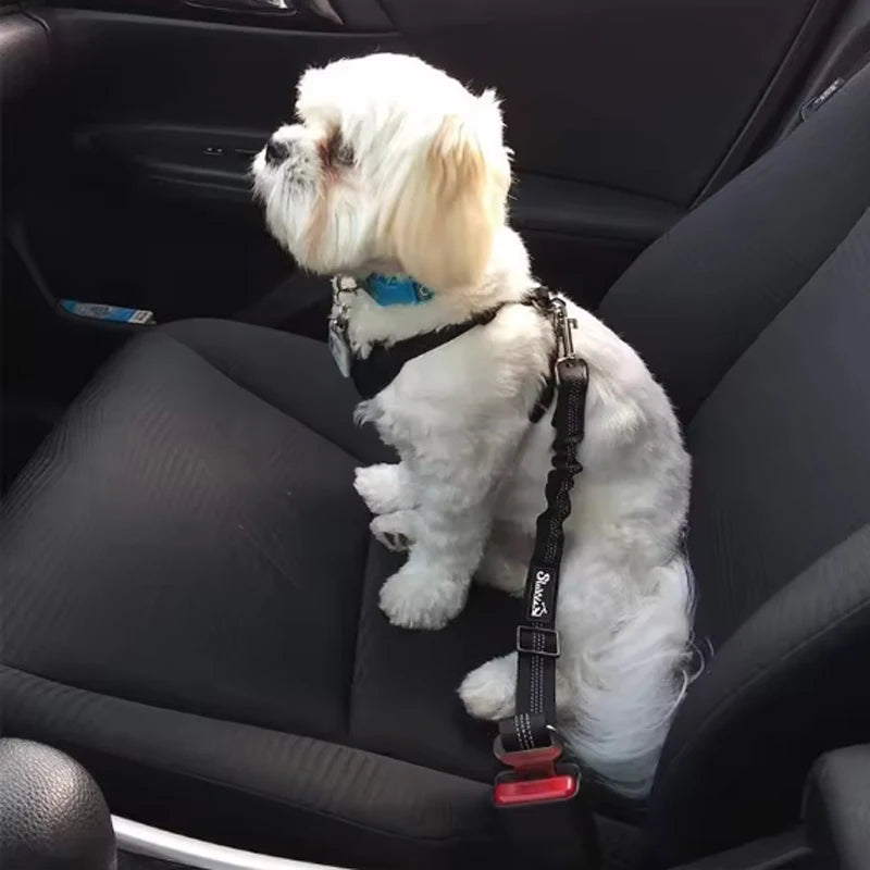 Laisse de Sécurité pour Chien – Ceinture Auto Élastique Anti‑Traction