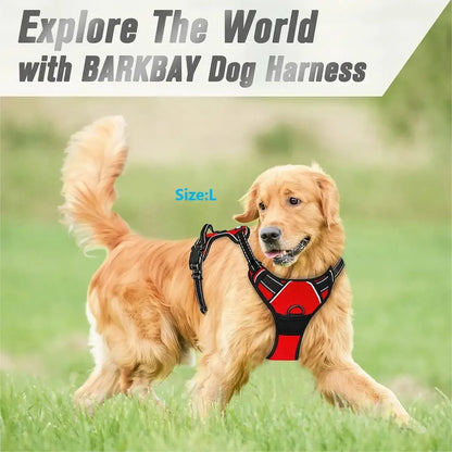 🐾 Colliers, Harnais, Gilets & Laisses – Accessoires Premium pour Chiens 🐾