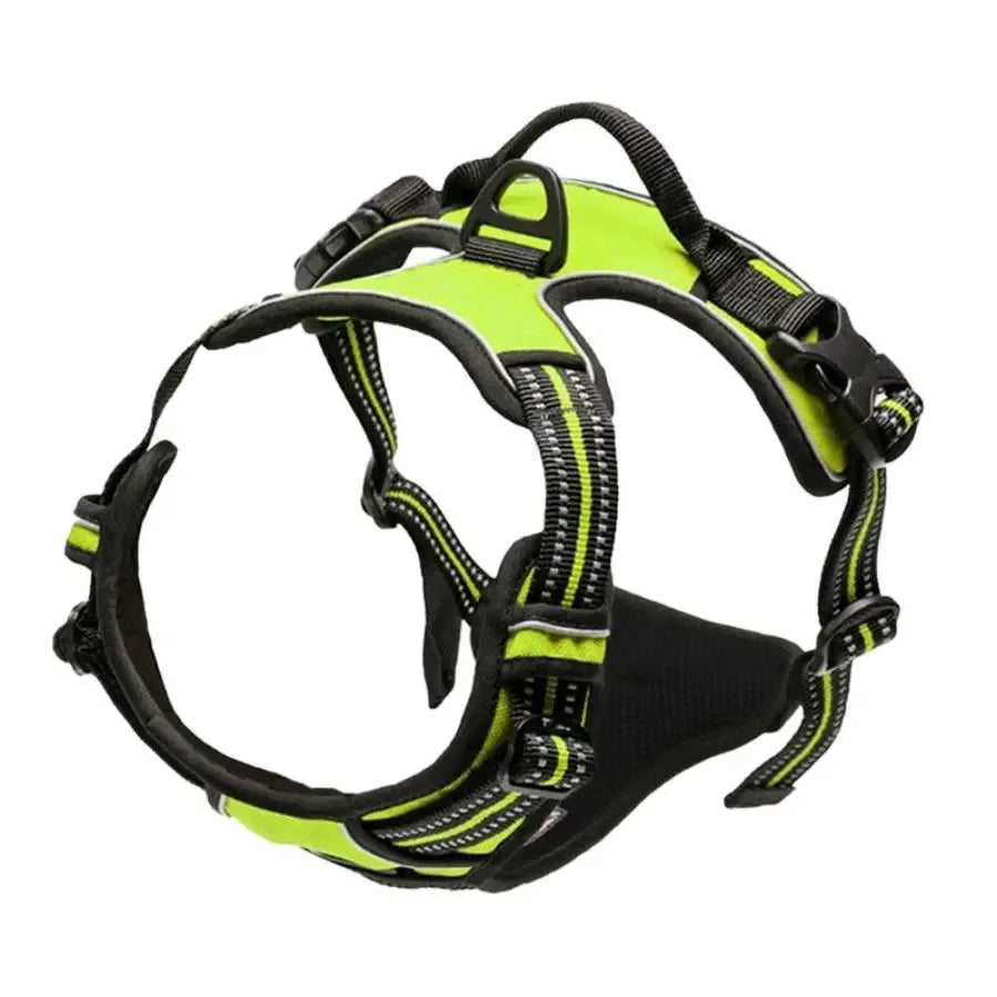 🐾 Colliers, Harnais, Gilets & Laisses – Accessoires Premium pour Chiens 🐾