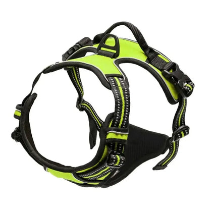 🐾 Colliers, Harnais, Gilets & Laisses – Accessoires Premium pour Chiens 🐾