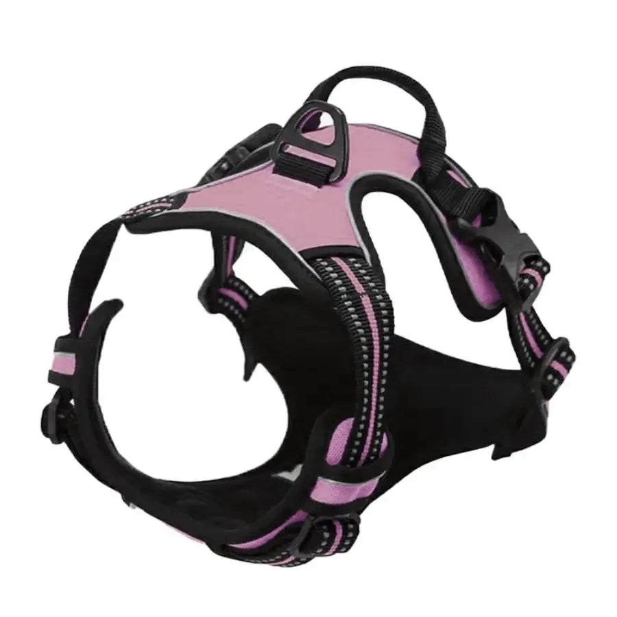 🐾 Colliers, Harnais, Gilets & Laisses – Accessoires Premium pour Chiens 🐾