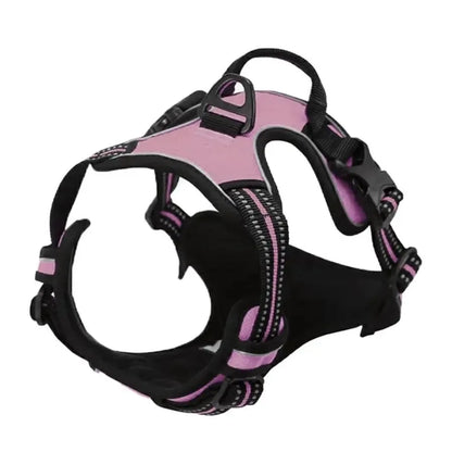 🐾 Colliers, Harnais, Gilets & Laisses – Accessoires Premium pour Chiens 🐾