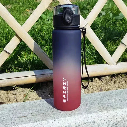 Gourde Sport 1L/ 750ML /650ML /500ML Légère et Robuste