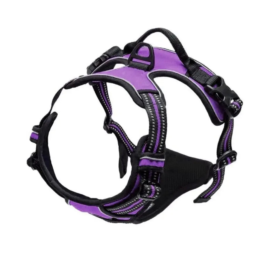 🐾 Colliers, Harnais, Gilets & Laisses – Accessoires Premium pour Chiens 🐾