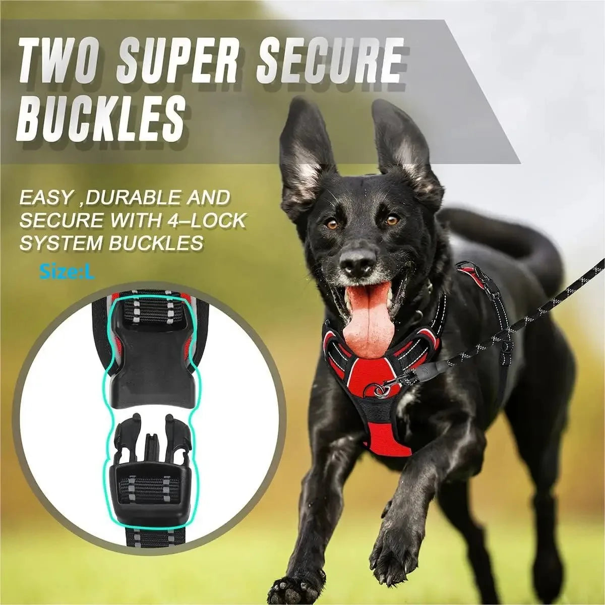 🐾 Colliers, Harnais, Gilets & Laisses – Accessoires Premium pour Chiens 🐾