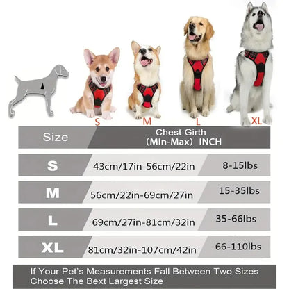 🐾 Colliers, Harnais, Gilets & Laisses – Accessoires Premium pour Chiens 🐾
