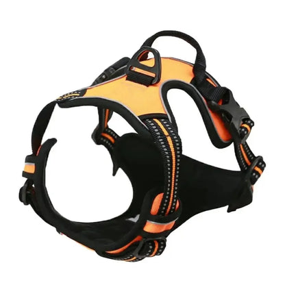 🐾 Colliers, Harnais, Gilets & Laisses – Accessoires Premium pour Chiens 🐾