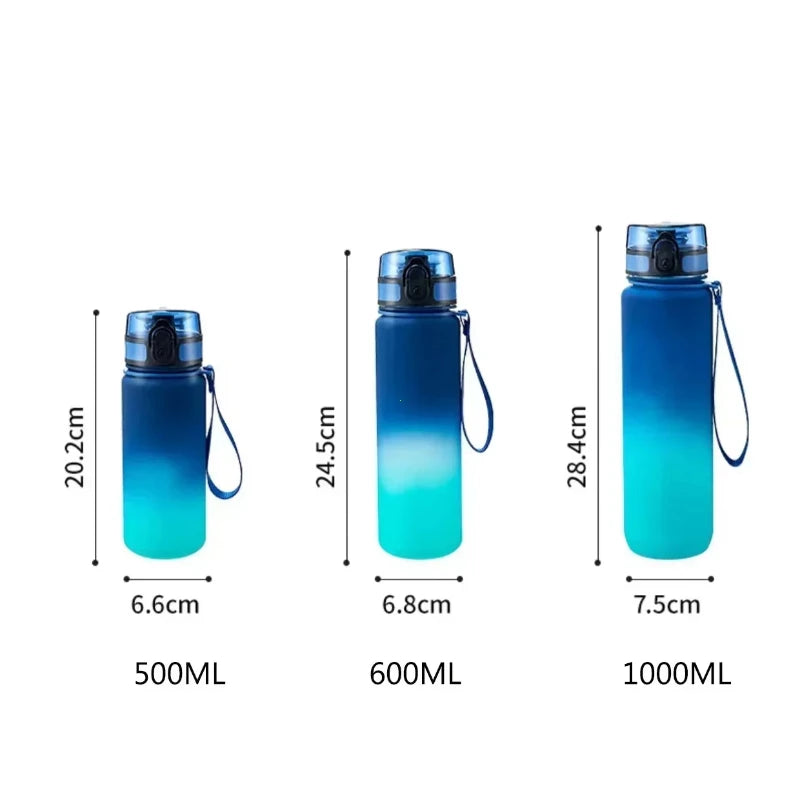 Gourde Sport 1L/ 750ML /650ML /500ML Légère et Robuste