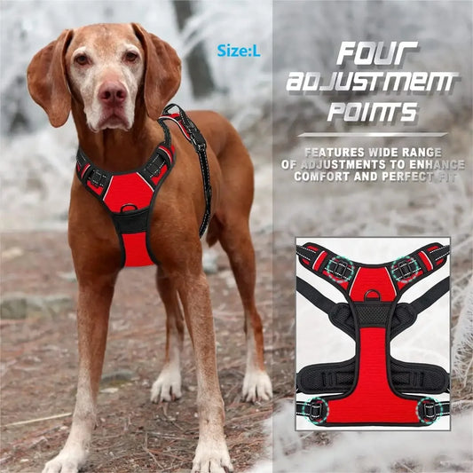 🐾 Colliers, Harnais, Gilets & Laisses – Accessoires Premium pour Chiens 🐾