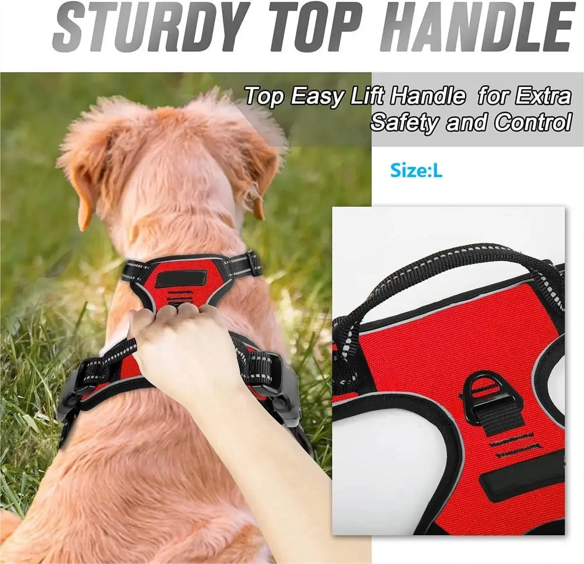 🐾 Colliers, Harnais, Gilets & Laisses – Accessoires Premium pour Chiens 🐾