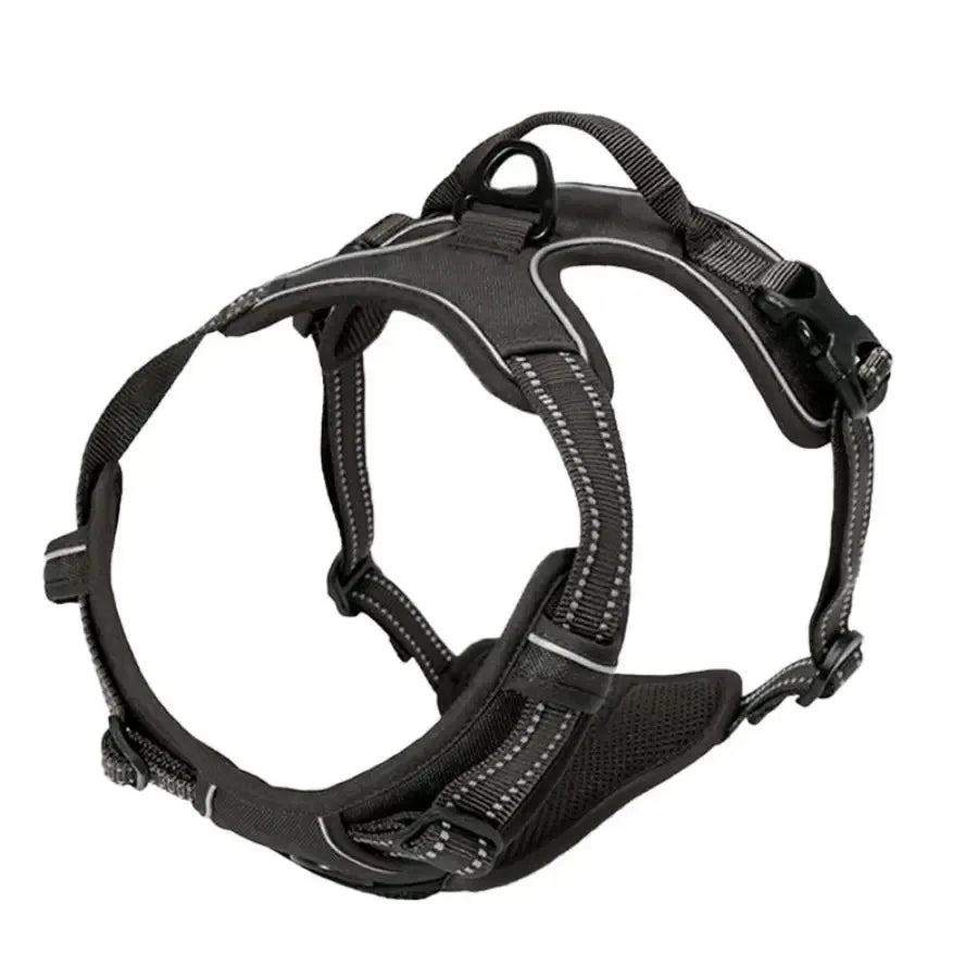 🐾 Colliers, Harnais, Gilets & Laisses – Accessoires Premium pour Chiens 🐾