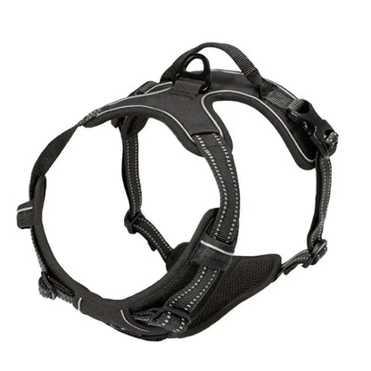 🐾 Colliers, Harnais, Gilets & Laisses – Accessoires Premium pour Chiens 🐾